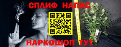 каннабис Апшеронск