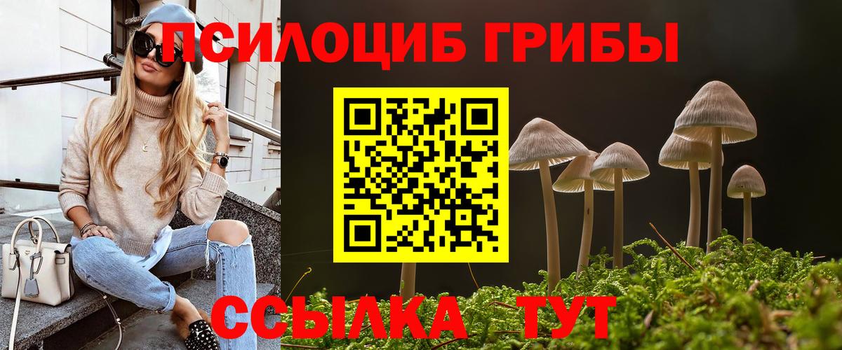 Галлюциногенные грибы Magic Shrooms Великий Новгород