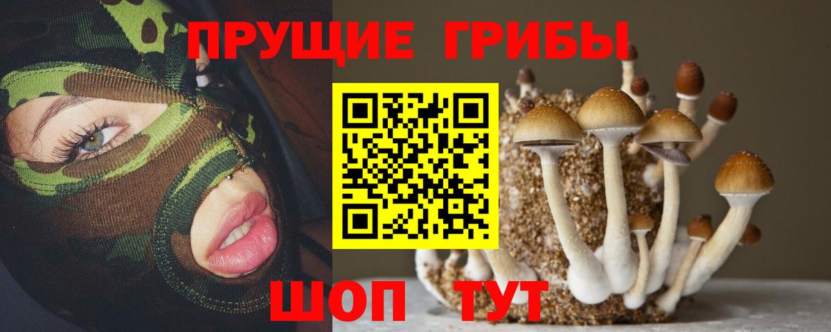 COCAIN Великий Новгород
