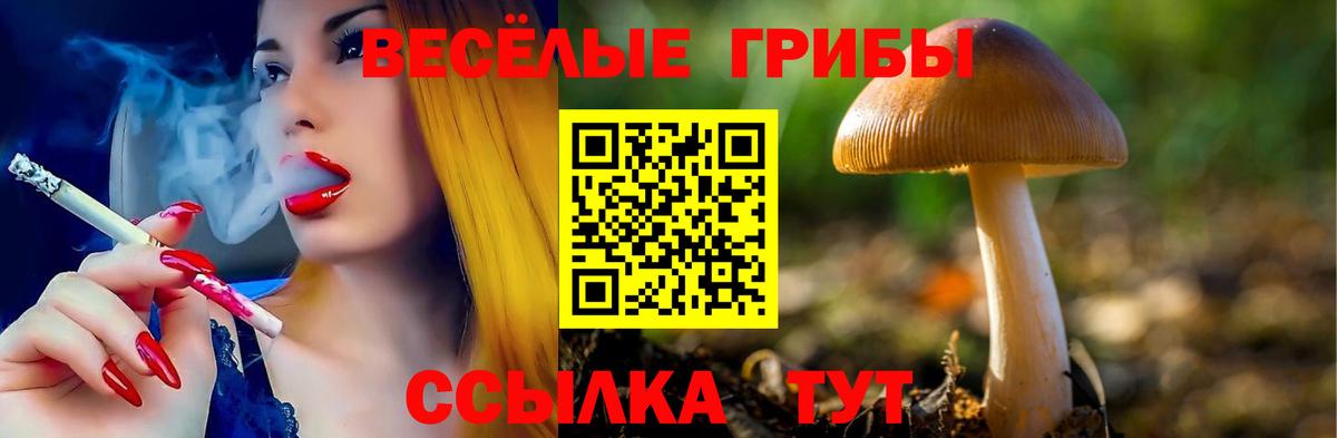 Великий Новгород  Галлюциногенные грибы Psilocybine cubensis  Вход с VPN 